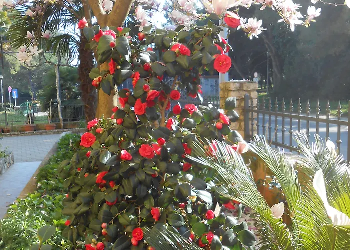 Bed & Breakfast Kristina Rovinj