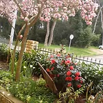 Bed & Breakfast Kristina Rovinj