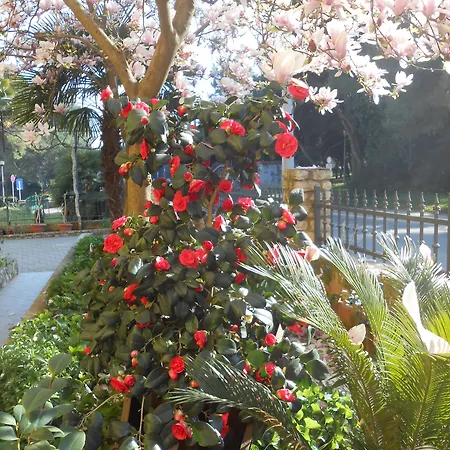 Bed & Breakfast Kristina Rovinj