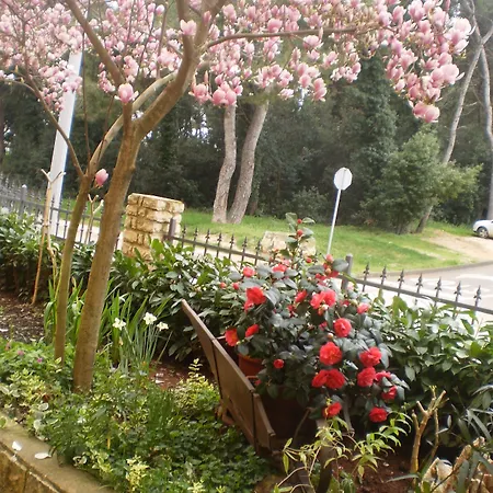 Bed & Breakfast Kristina Rovinj