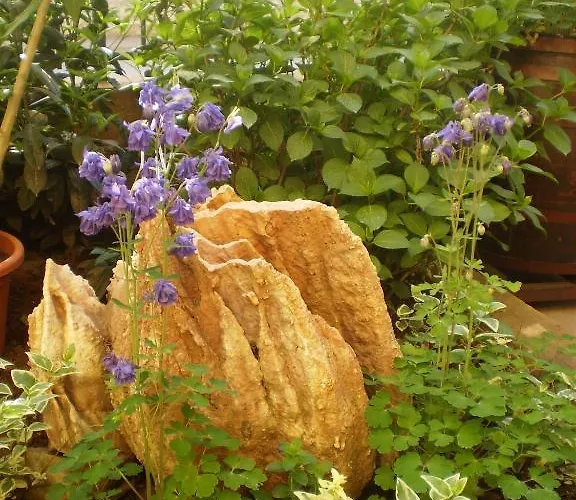 Bed & Breakfast Kristina